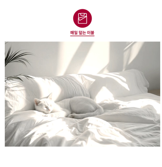LG 스타일러 추천｜LG전자 오브제컬렉션 스타일러 의류관리기 방문설치 SC5MBR4ES 이미지 6